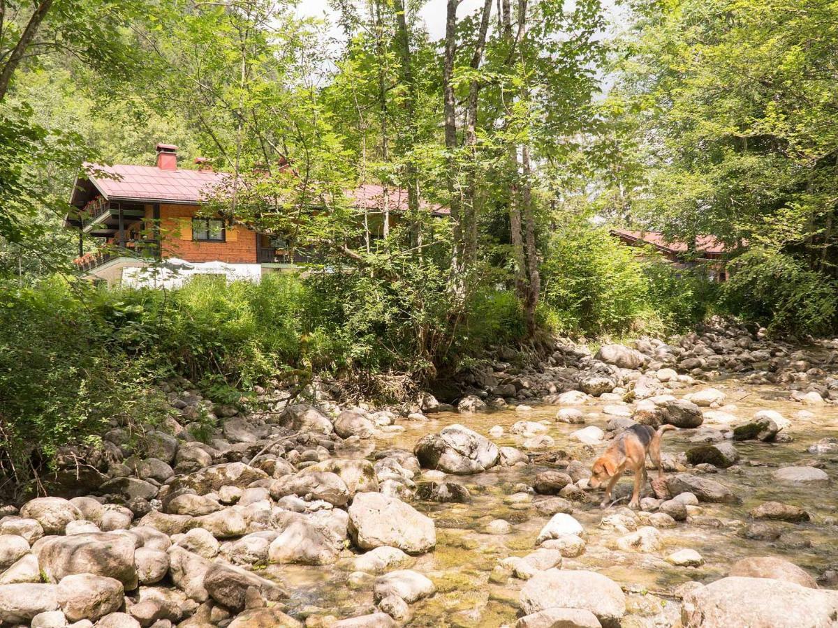 Haus Wildbach Hotel Reit im Winkl Ngoại thất bức ảnh